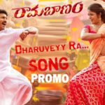 Chammak Chammak Pori Song Lyrics​