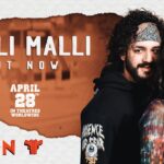 Mawa Bro Lyrics: 1 Energetic Track from Das Ka Dhamki